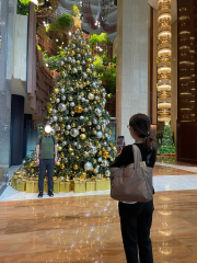 社長夫妻とクリスマスツリー